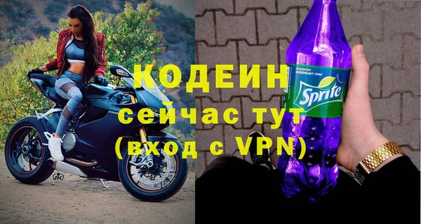 прущие грибы Переславль-Залесский