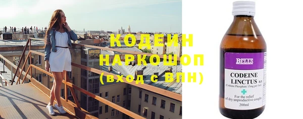 прущие грибы Переславль-Залесский