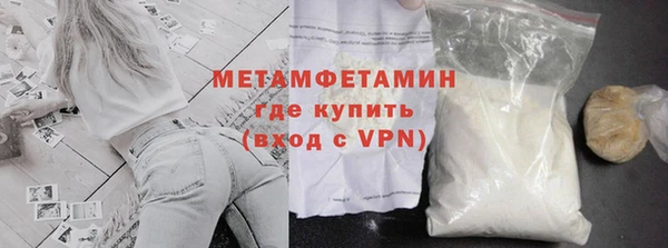 прущие грибы Переславль-Залесский