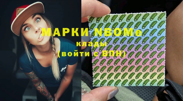 прущие грибы Переславль-Залесский