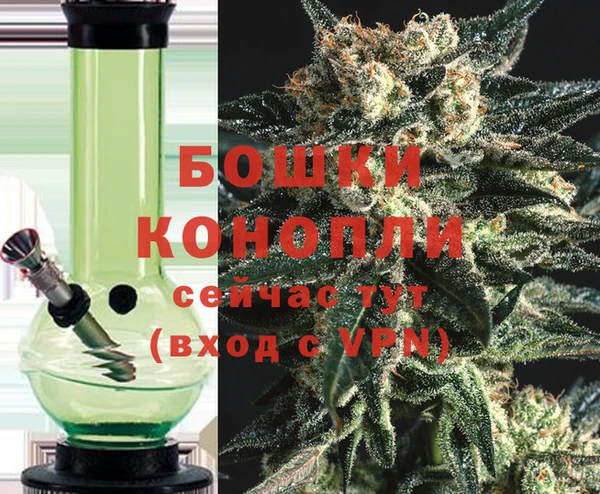 прущие грибы Переславль-Залесский