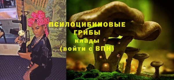 прущие грибы Переславль-Залесский