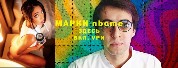 прущие грибы Переславль-Залесский