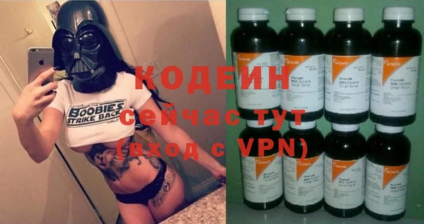 прущие грибы Переславль-Залесский